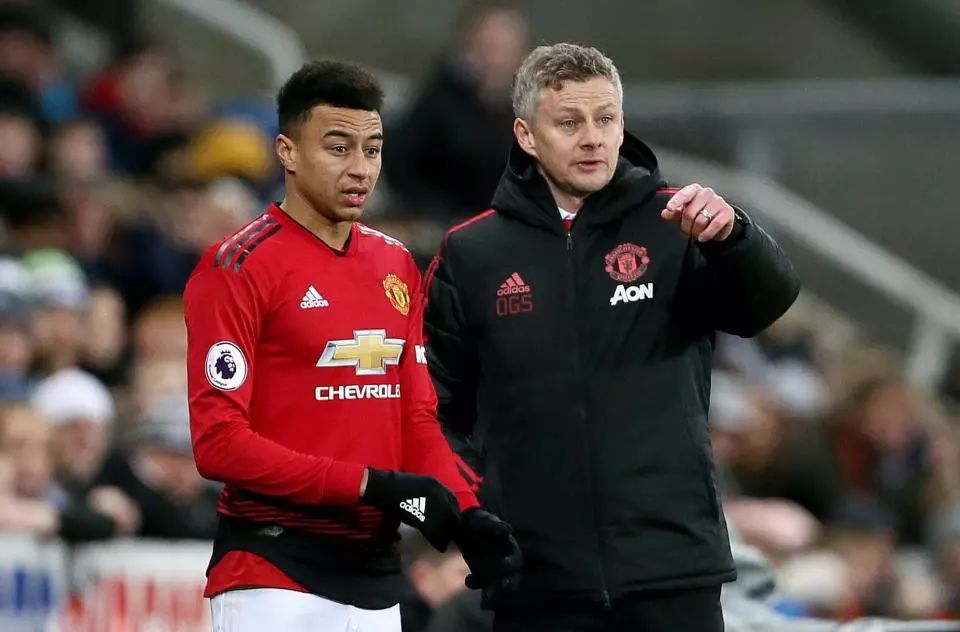 洲賽場打下 洲賽場打下